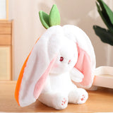 18cm Cosplay Strawberry Carrot Rabbit Plush Toy